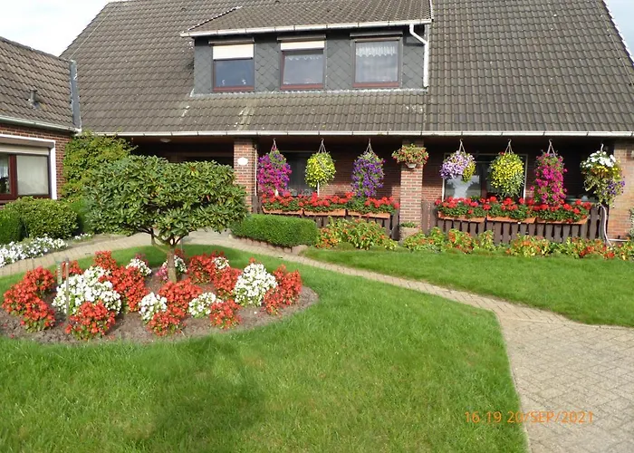 Schmidtfewo Moorgeist