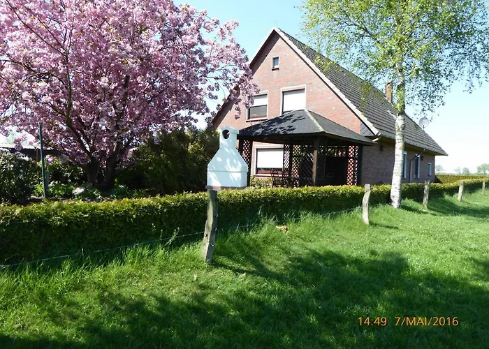 Schmidtfewo Moorgeist