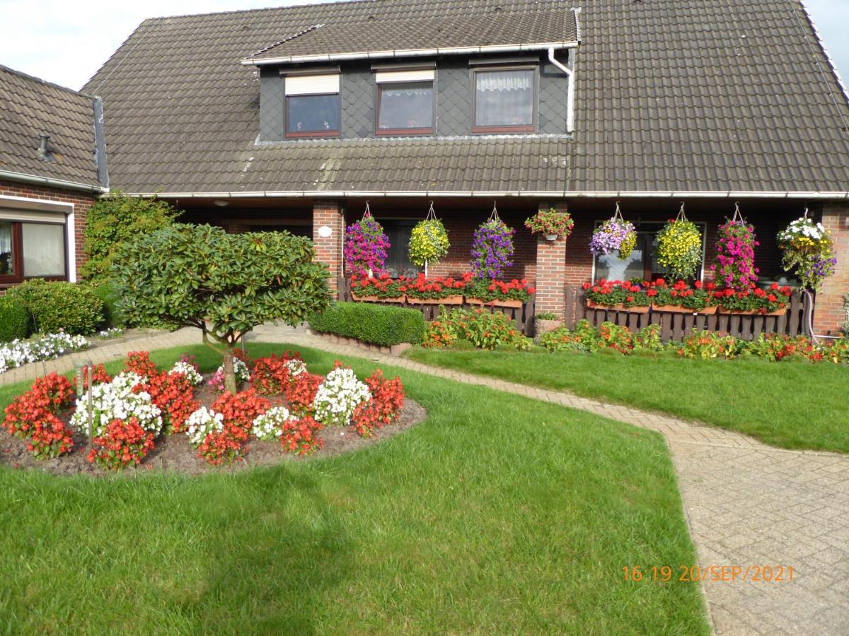 Schmidtfewo Moorgeist * Bockhorn (Lower-Saxony)