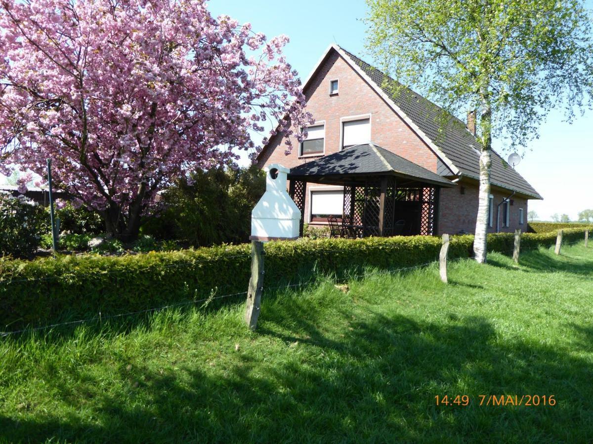 Schmidtfewo Moorgeist Bockhorn (Lower-Saxony)